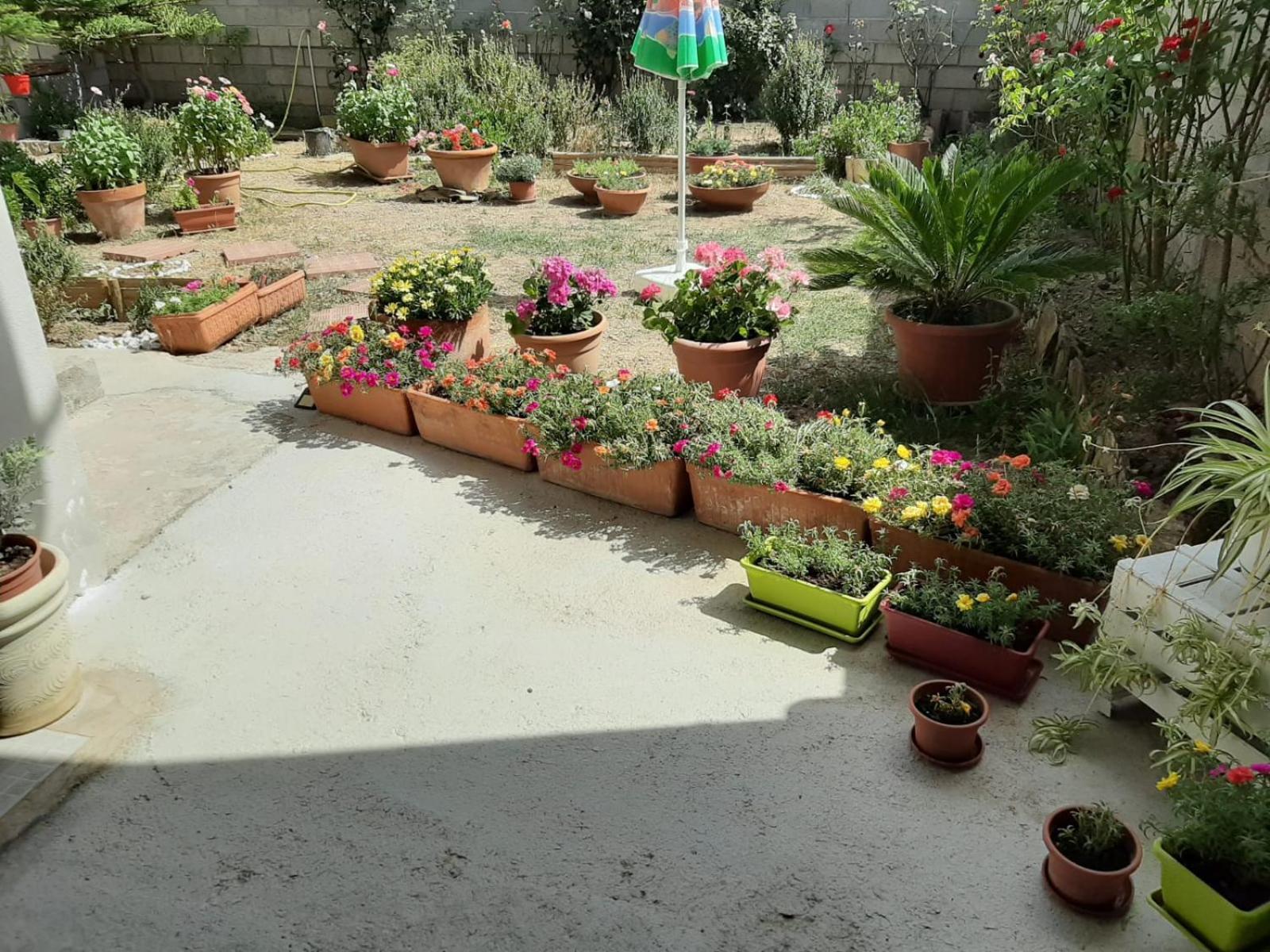 Casa Vacanze Millefiori Codice Iun Q3156 Teulada Exterior photo